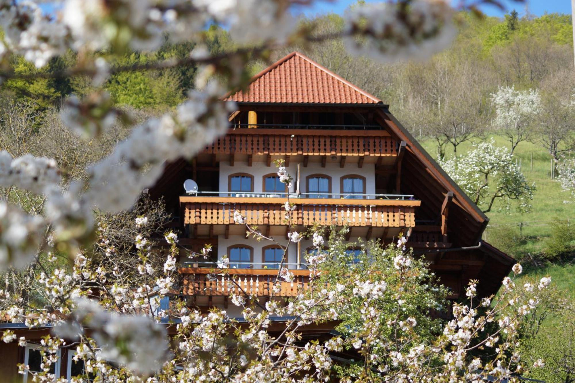 Kurparkhotel Faißt Bad Peterstal-Griesbach Exteriör bild