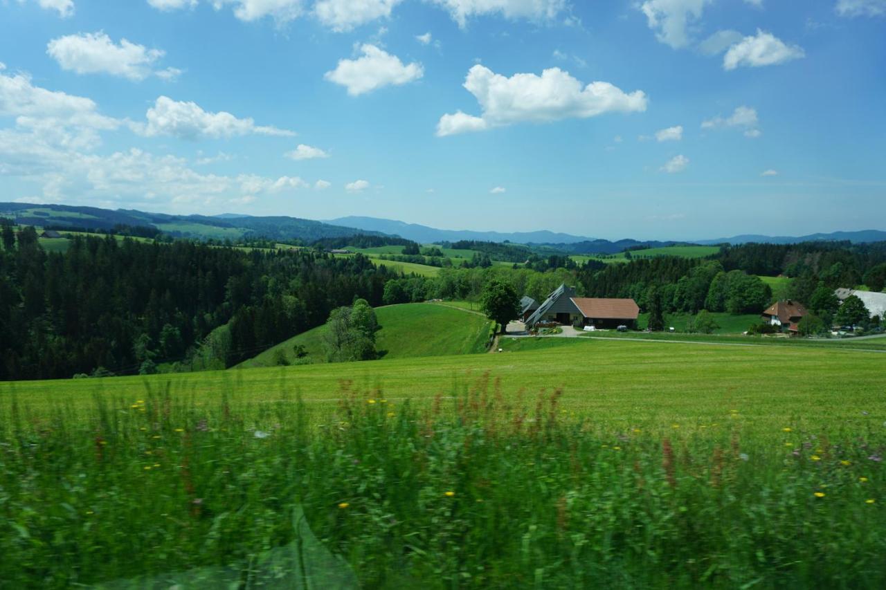 Kurparkhotel Faißt Bad Peterstal-Griesbach Exteriör bild