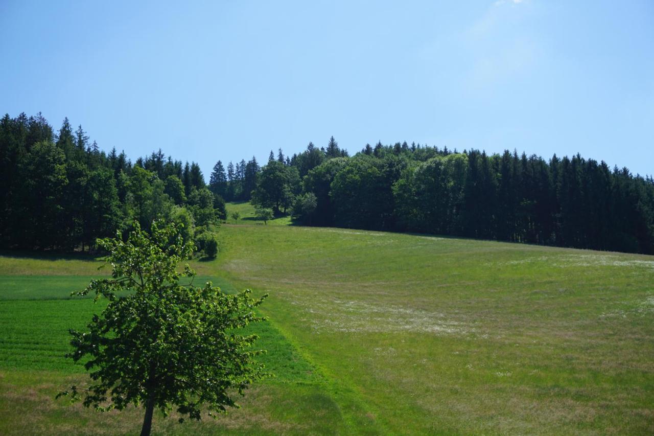 Kurparkhotel Faißt Bad Peterstal-Griesbach Exteriör bild