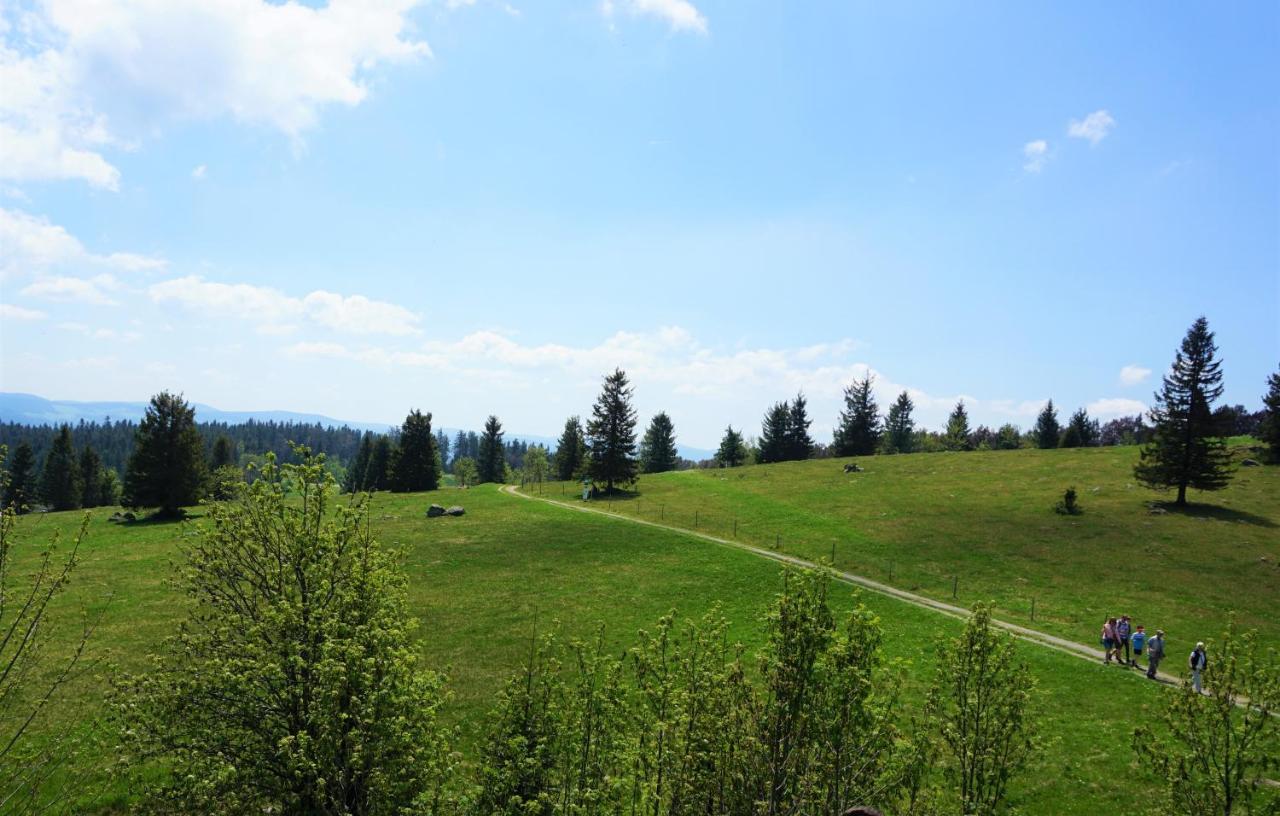 Kurparkhotel Faißt Bad Peterstal-Griesbach Exteriör bild