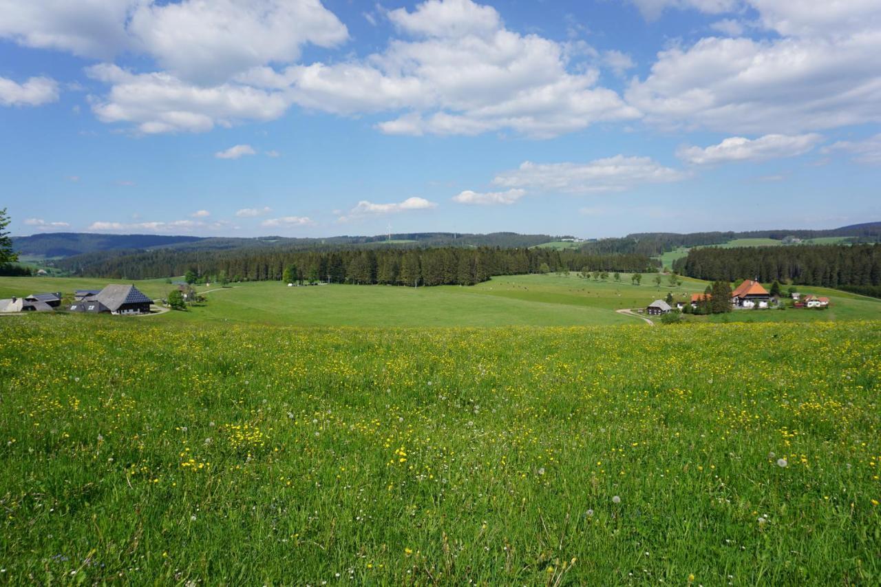 Kurparkhotel Faißt Bad Peterstal-Griesbach Exteriör bild